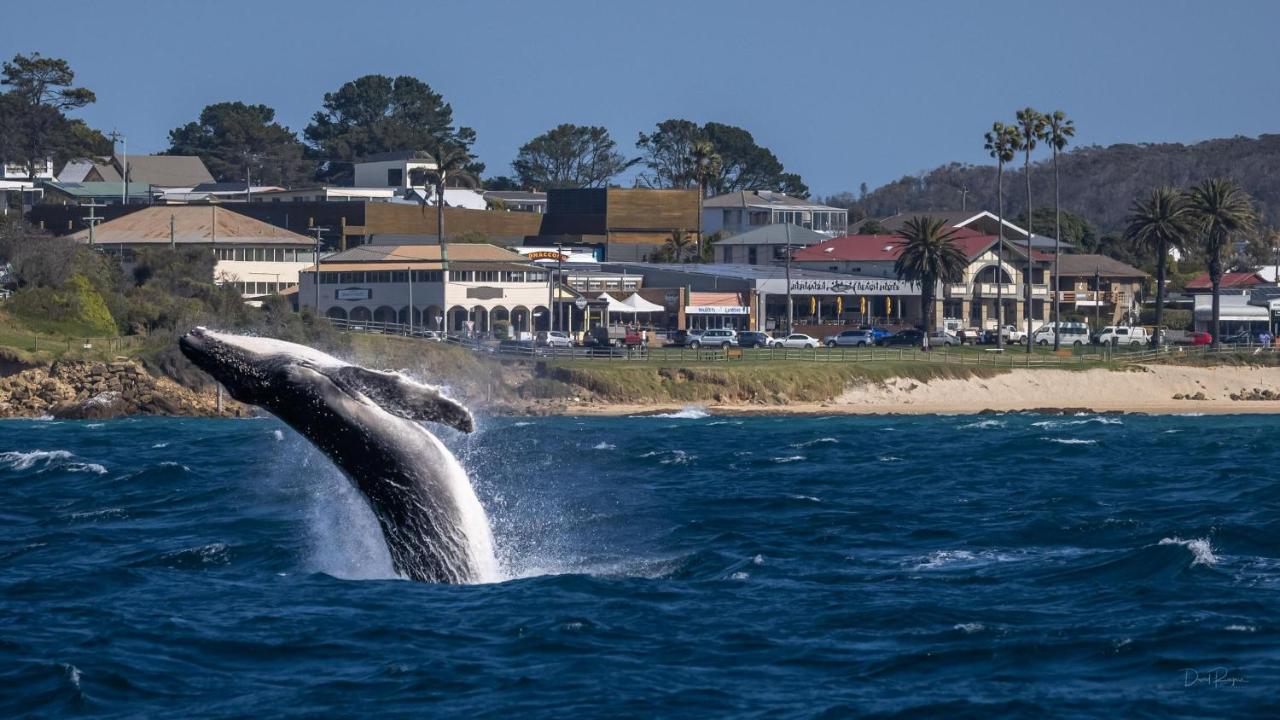 Bermagui Beach Hotel 외부 사진